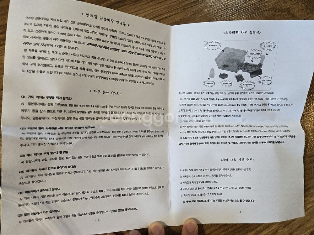 앤트킹 개미 키우기 세트 (생물 미포함)--1