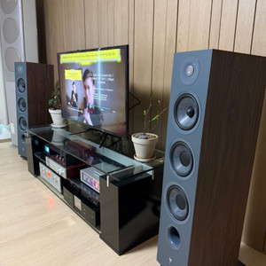 포칼 코라 826 (풀박스, 신동품)