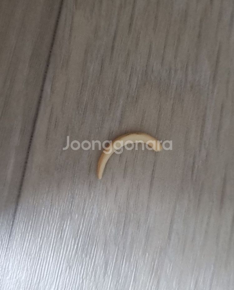 머리카락순접) 후류 데이트어라이브 호시미야 바니걸--4
