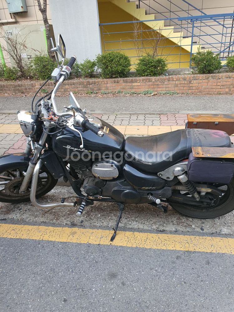 데이스타250--1
