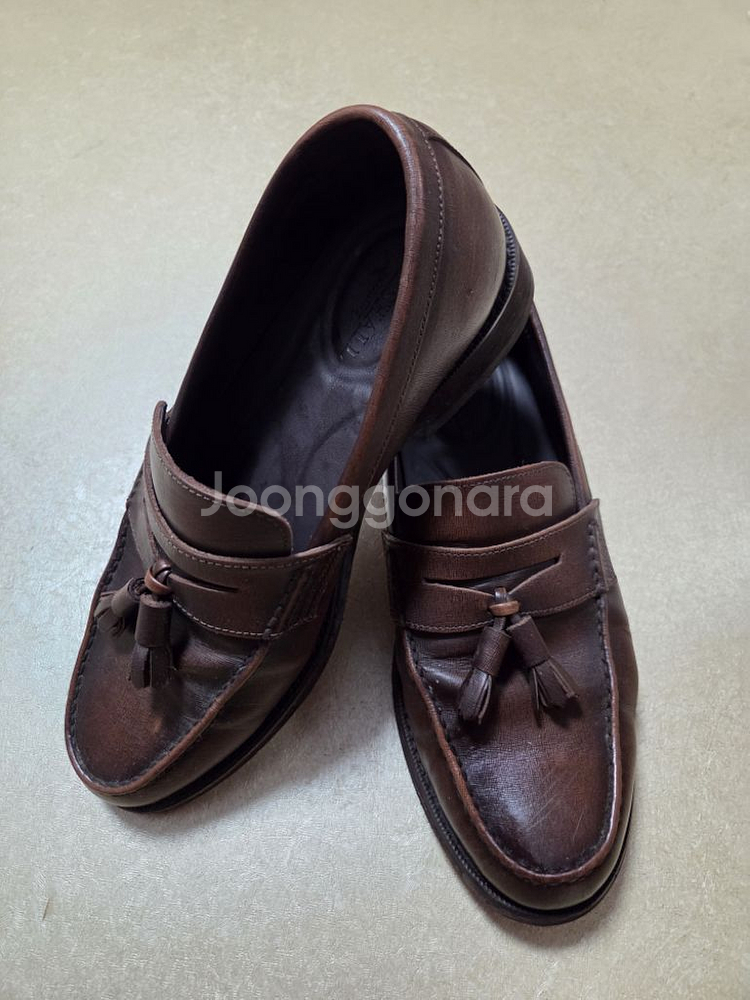 텐디 사피아노 테슬로퍼 250--0