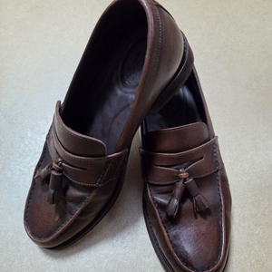 텐디 사피아노 테슬로퍼 250