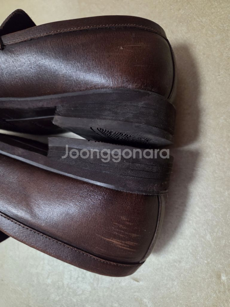 텐디 사피아노 테슬로퍼 250--4