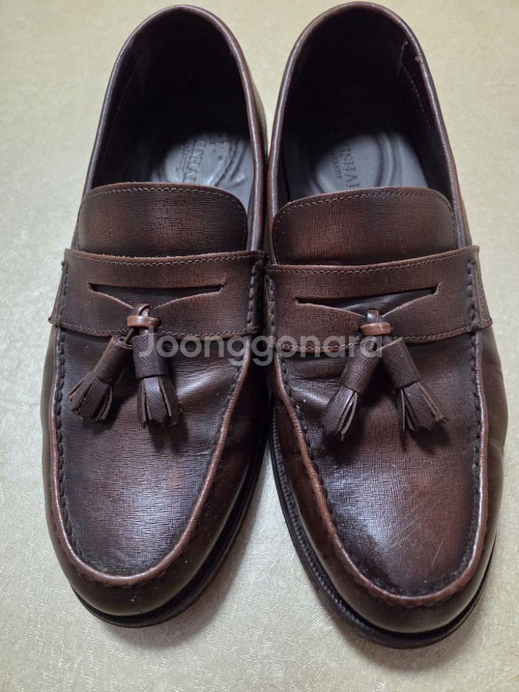 텐디 사피아노 테슬로퍼 250--1