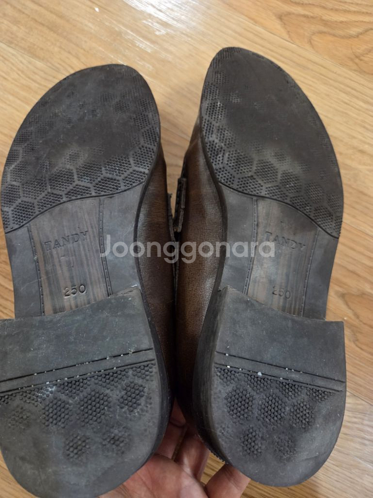 텐디 사피아노 테슬로퍼 250--5