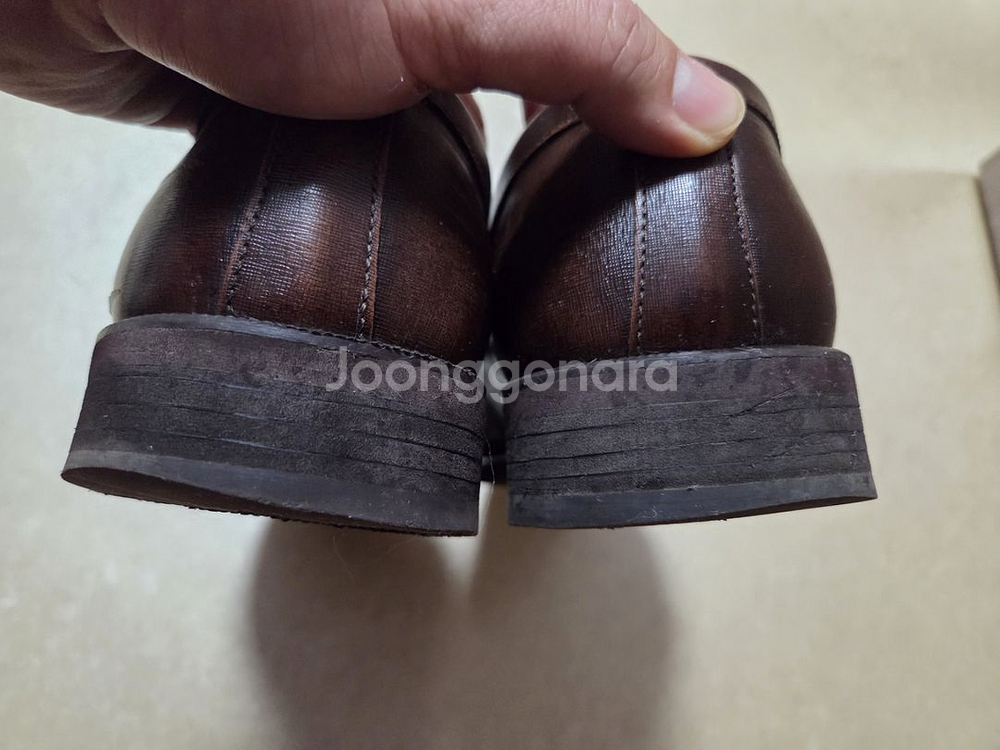 텐디 사피아노 테슬로퍼 250--6