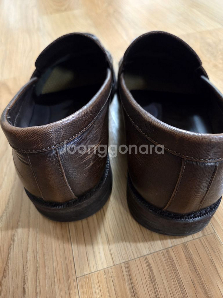 텐디 사피아노 테슬로퍼 250--7