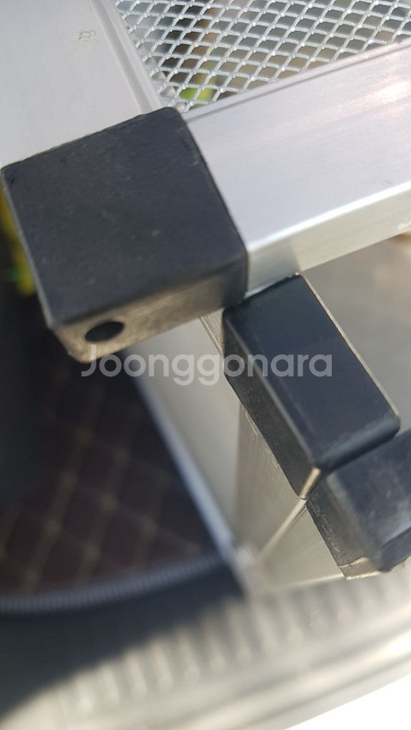 카멜레온사육장--3
