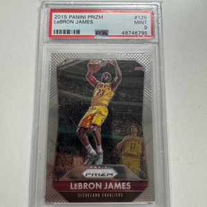 파니니 르브론 제임스 psa 9