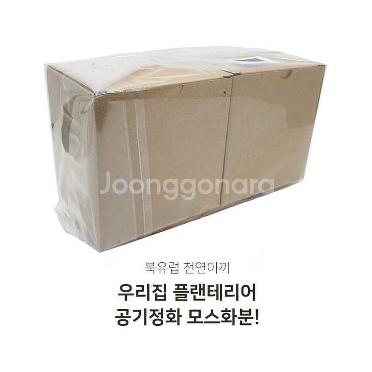 스칸디아모스 표정화분 공기정화이끼화분 2P세트 미개봉--1