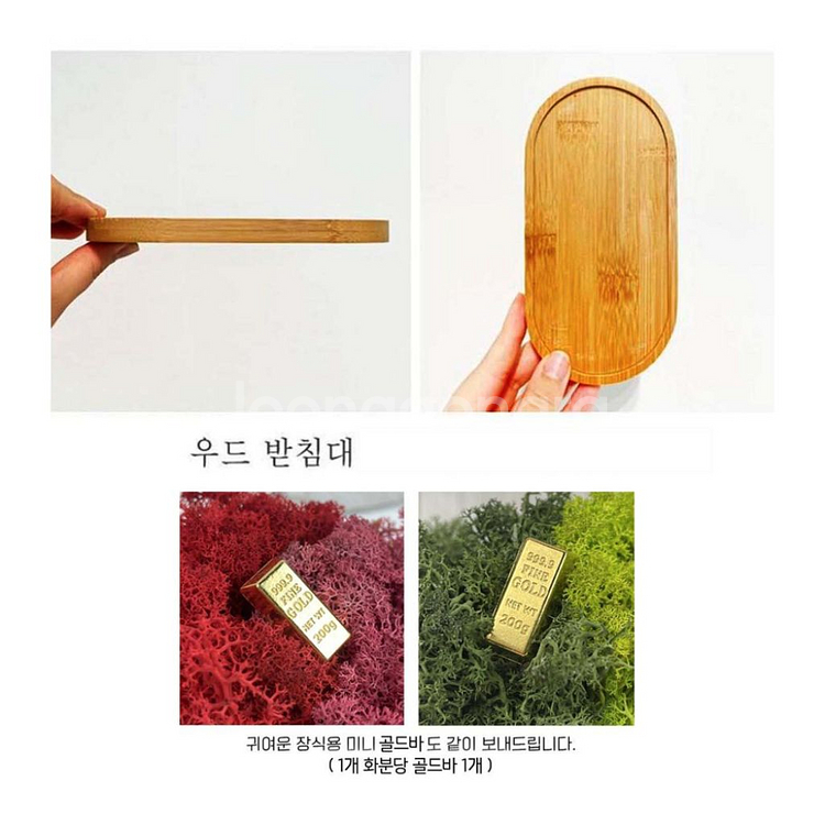 스칸디아모스 표정화분 공기정화이끼화분 2P세트 미개봉--3