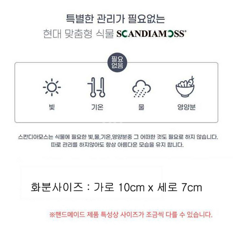 스칸디아모스 표정화분 공기정화이끼화분 2P세트 미개봉--7