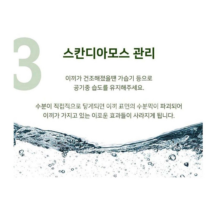 스칸디아모스 표정화분 공기정화이끼화분 2P세트 미개봉--6