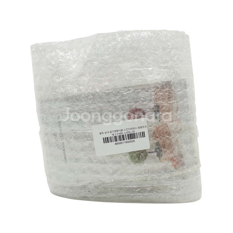 알레 스칸디아모스 원형 유리병 2P 세트 공기정화이끼--1