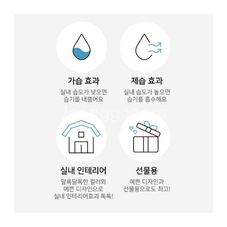 알레 스칸디아모스 원형 유리병 2P 세트 공기정화이끼--4