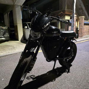 엑스라이더 x200터보프로 60V 75ah 2000w