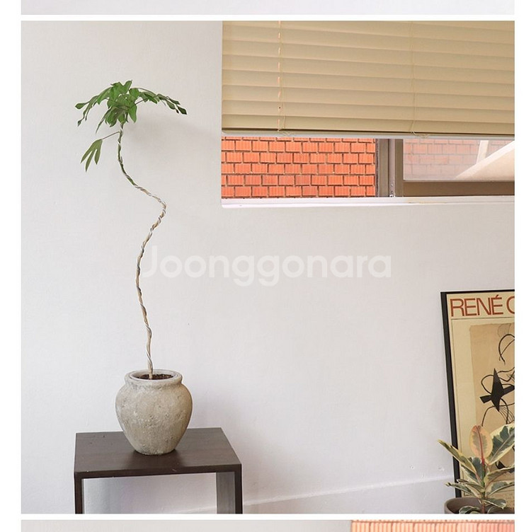 대형 수제 빈티지 토분 도자기 단지[상태A사용]--3