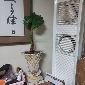 위니아 스탠드형 에어컨 실내기