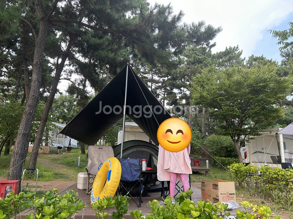 타프 레인플라이 쉘터 팔아요. 한번만 사용했어요--0