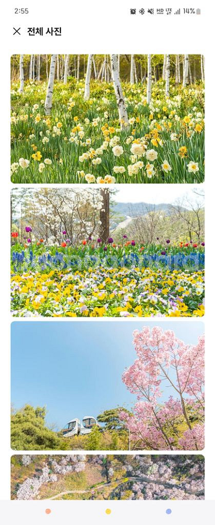 화담숲 4월13일 12시(2인.4인) 모노레일포함--1