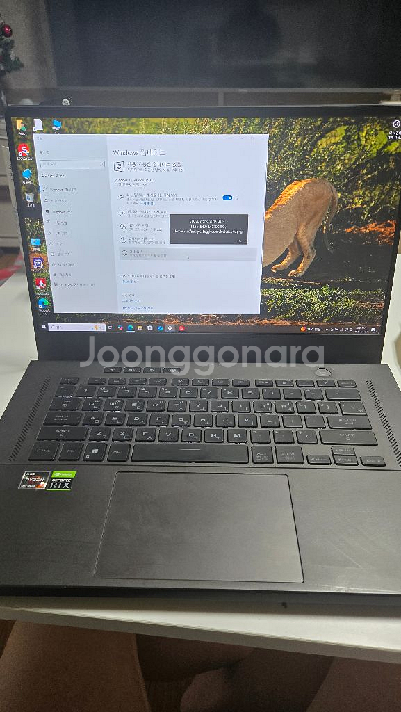 Asus 제피러스G15 GA503QS-QR019--2