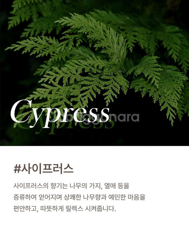 명품 향수 대용량 디퓨저~^^--9
