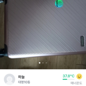 캐리어
