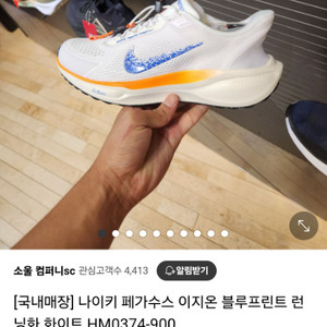 나이키 페가수스 이지온 (240)