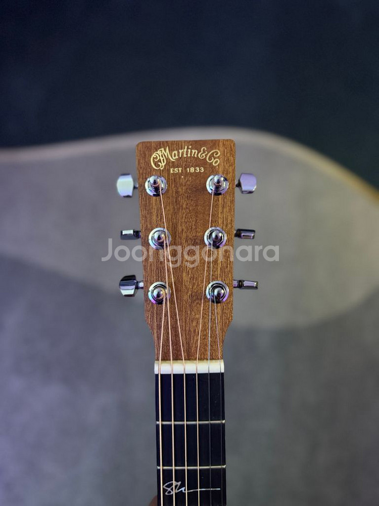 Martin 000JR-10E Shawn Mendes--6