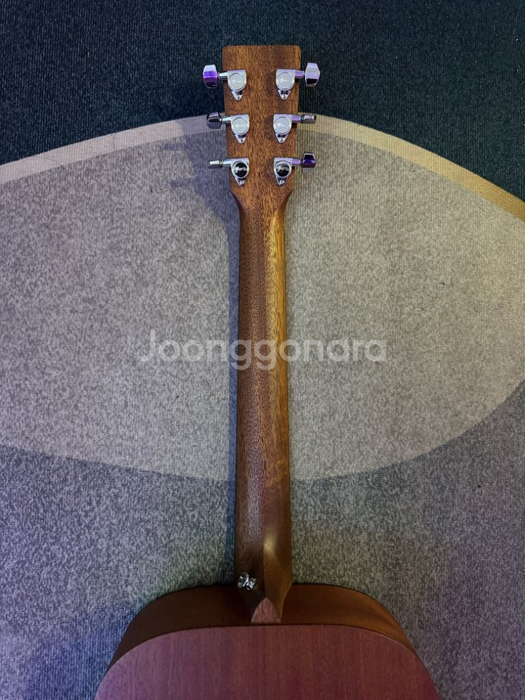Martin 000JR-10E Shawn Mendes--5