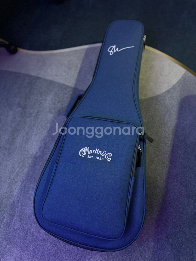 Martin 000JR-10E Shawn Mendes--8
