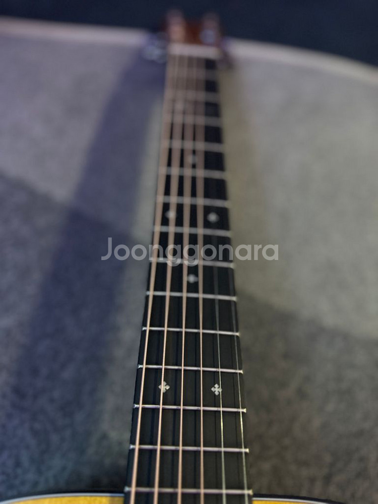 Martin 000JR-10E Shawn Mendes--7