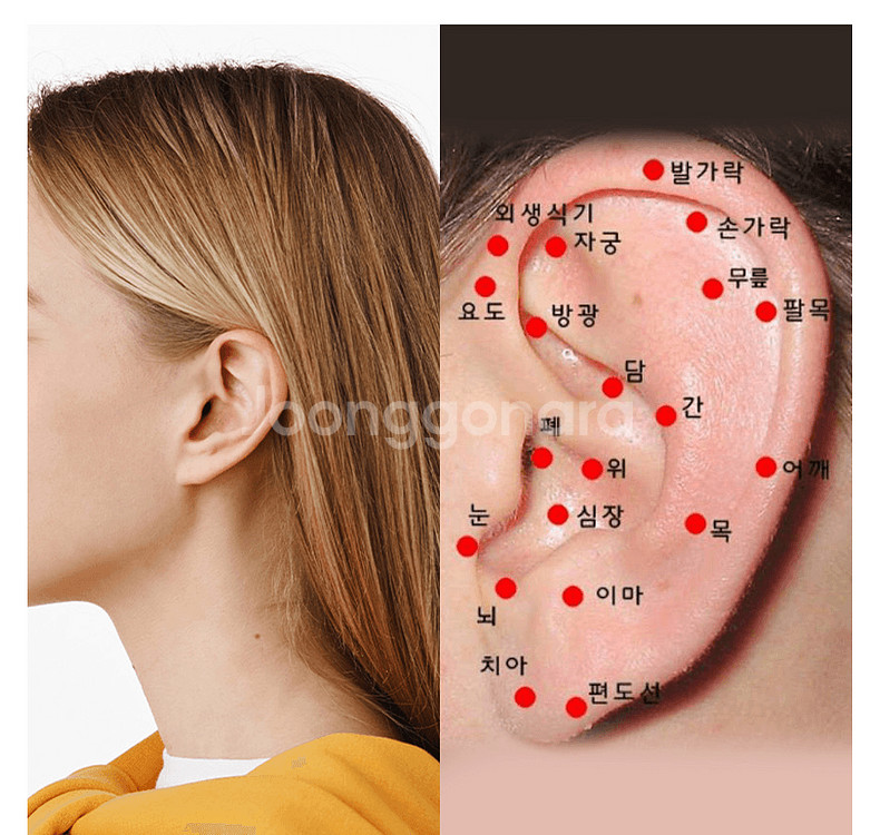 귀마사지 이혈 혈자리 피로 소화불량 식물성약재 휴대용패--0