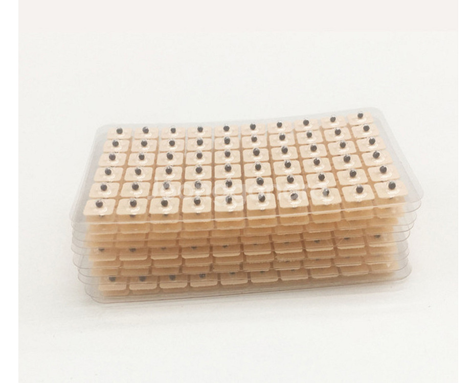 귀마사지 이혈 혈자리 피로 소화불량 식물성약재 휴대용패--1