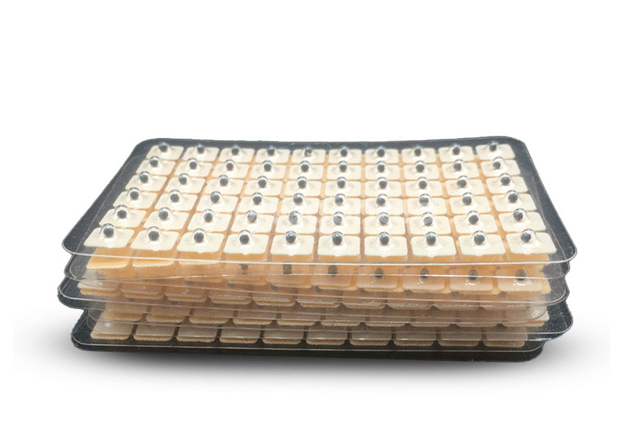 귀마사지 이혈 혈자리 피로 소화불량 식물성약재 휴대용패--3