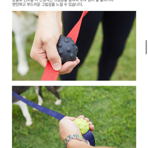 분독 리드줄 안전그립 소프트타입 (연두색)