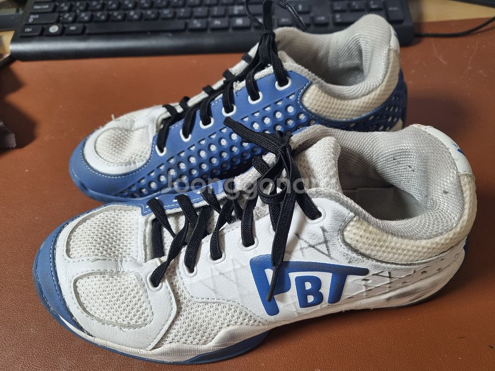 PBT 펜싱화 230--0