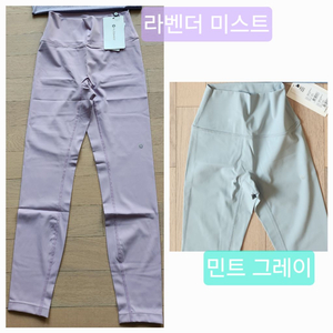 반값무배송)뮬라 레깅스.티셔츠.요가복.운동복.홈트레깅스