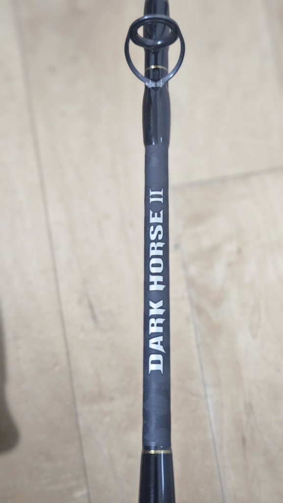 엔에스 지깅로드 다크호스2 B542mh--4