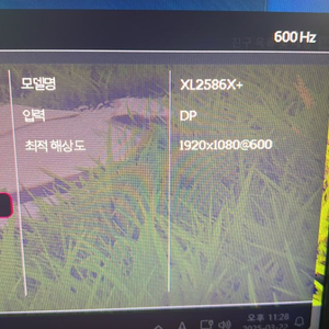 벤큐 2586x+ 600hz