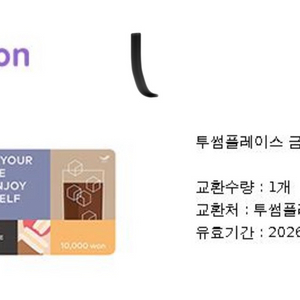 투썸플레이스 금액권 1만원
