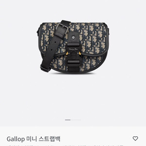 디올 Gallop 미니 스트랩백
