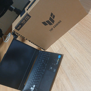 ASUS FUT FX517ZM - HN040 ㅍㅍ