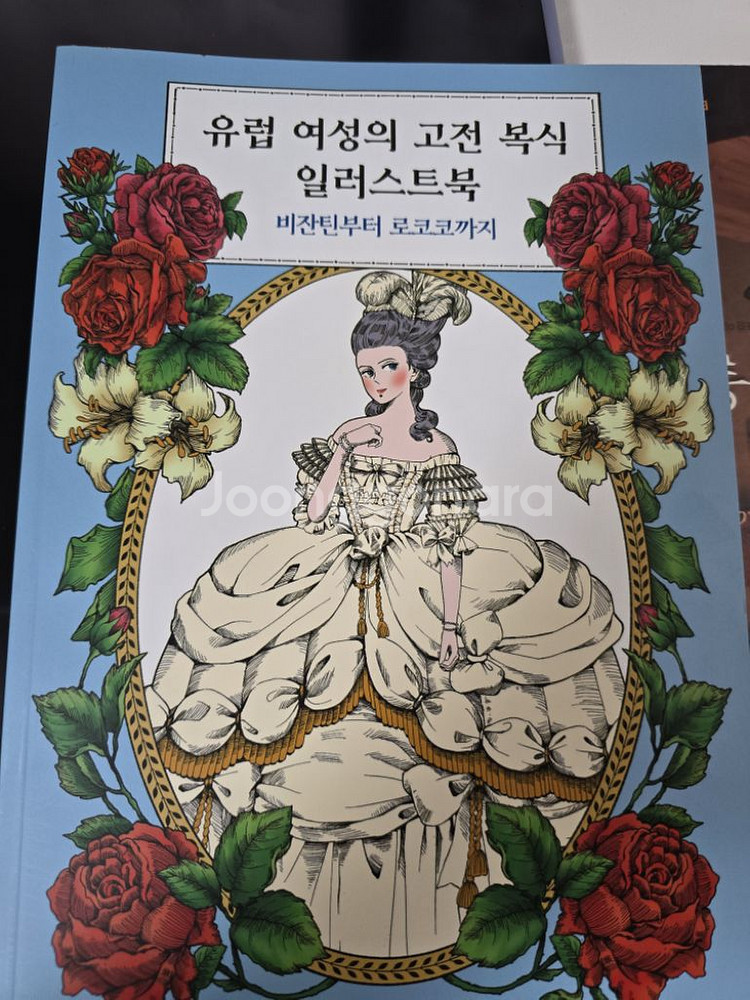 유럽 여성의 고전복식을 담아낸 일러스트북--0