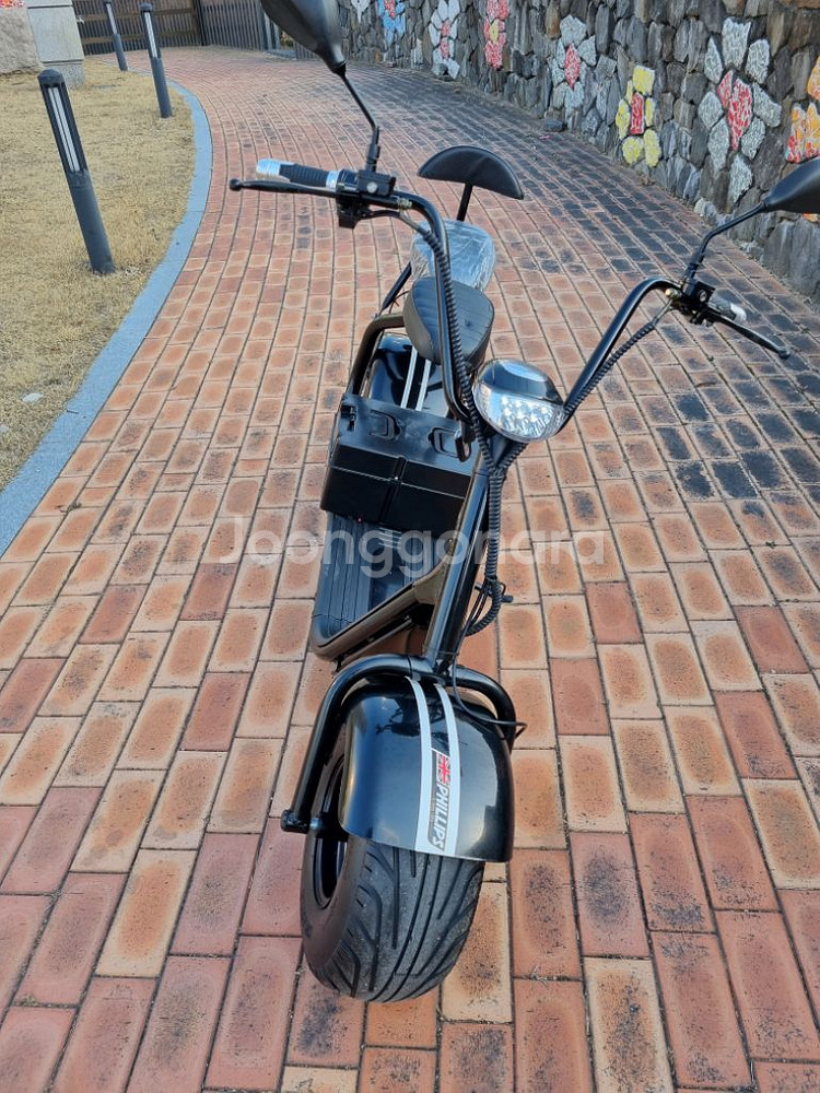 필립스 할리2인용 전기스쿠터--2