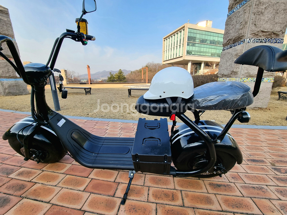 필립스 할리2인용 전기스쿠터--0