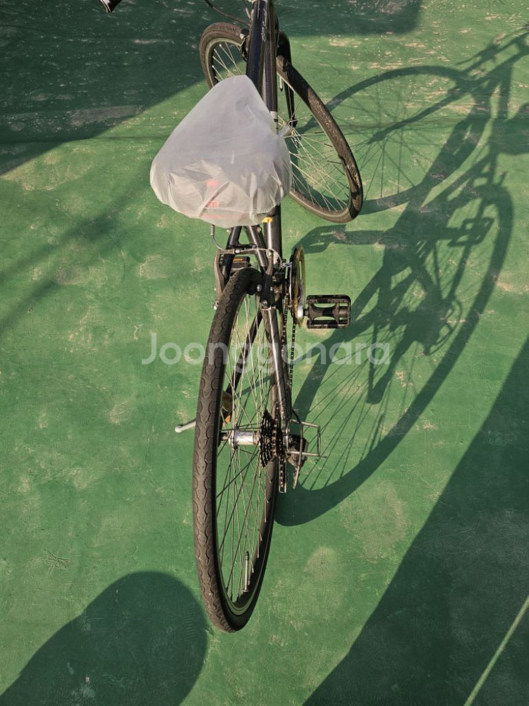 로드 싸이클 자전거 팝니다--3