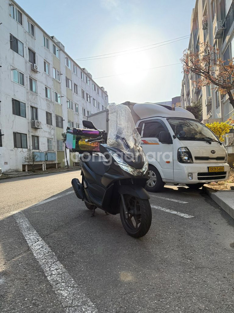 pcx125--0