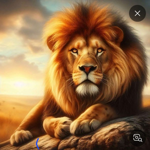 아프리카 SSS급 닉네임