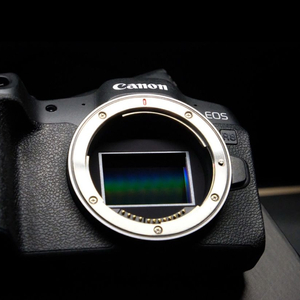 캐논 EOS R8